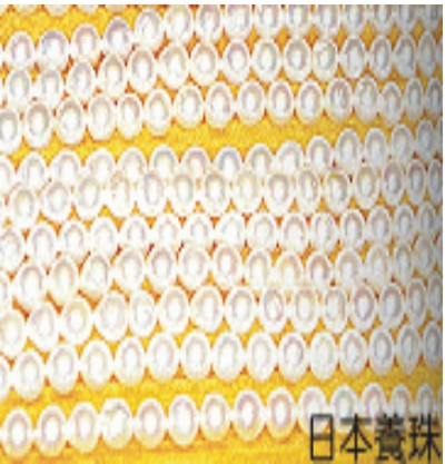 200812307158.jpg